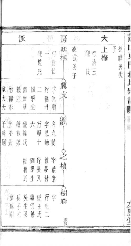 国家图书馆特色库家谱(第100辑)共116册