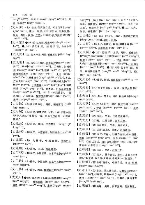 汉语方言大词典