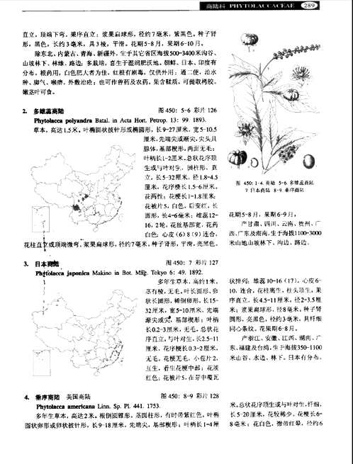 中国高等植物