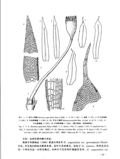 中国苔藓志