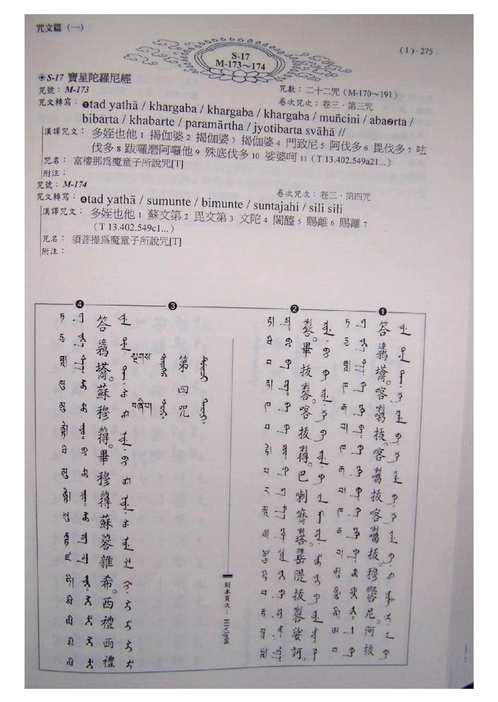 新编大藏全咒