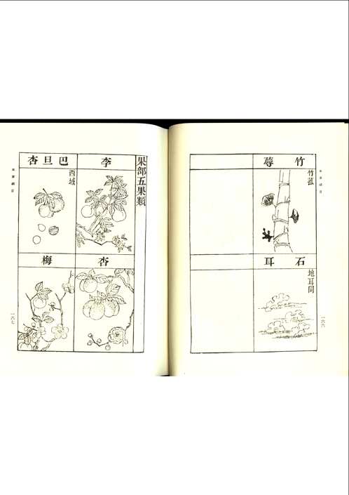 本草纲目