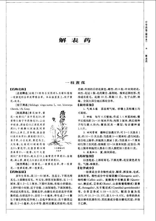 中华药海