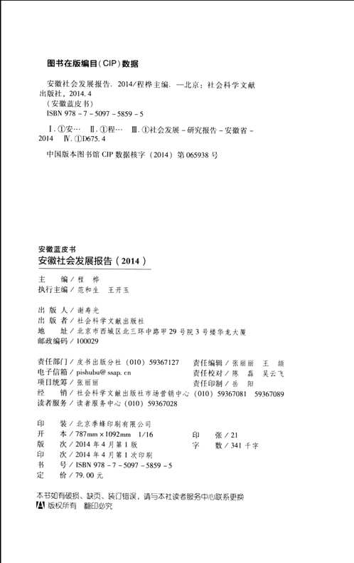 皮书系列（国内）