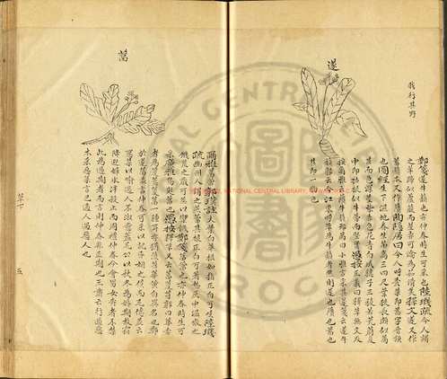 台湾图书馆特藏中华古籍-(第039辑)共200册 台湾图书馆特藏中华古籍-(第039辑)共200册