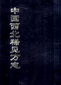 中国西北稀见方志