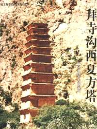宁夏文物考古研究所丛刊