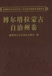 新疆维吾尔自治区第三次全国文物普查成果集成