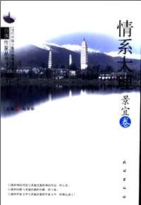 情系大理